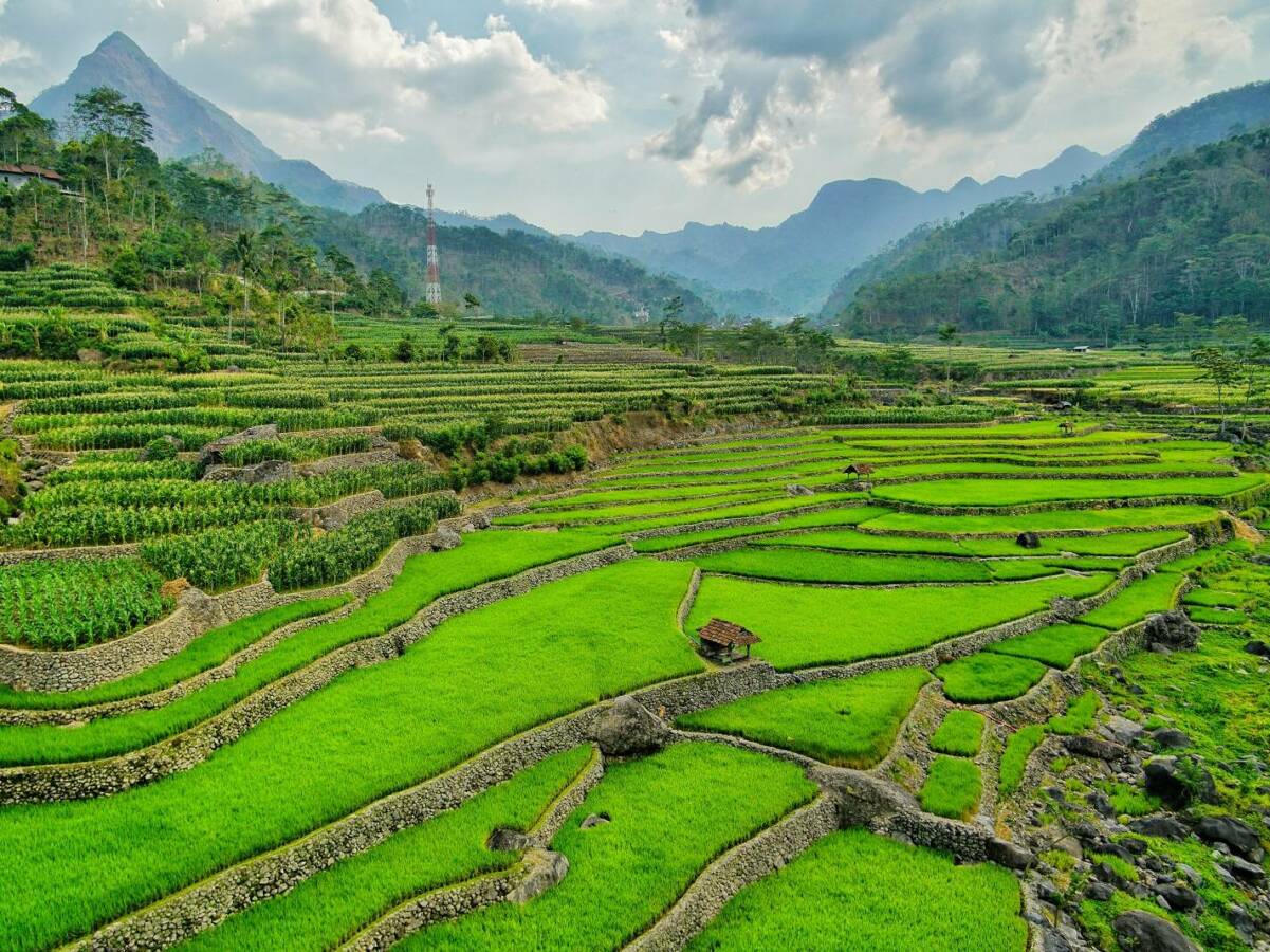 Pendaki Kelingan Muncak